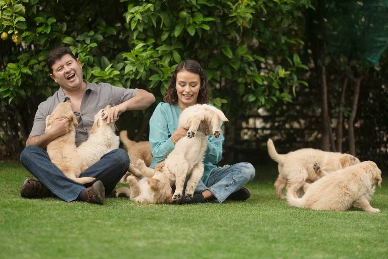 Fotografia de mascotas, perros, La Paz Bolivia