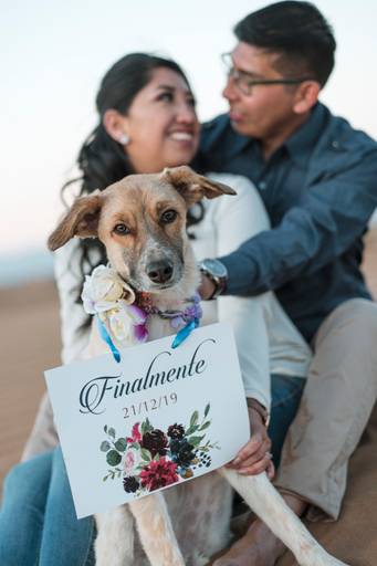 Fotografo de bodas La Paz Bolivia, Sesiones de pareja, fotografia de parejas fotografia de compromiso Bolivian wedding photographer Pkl Fotografia