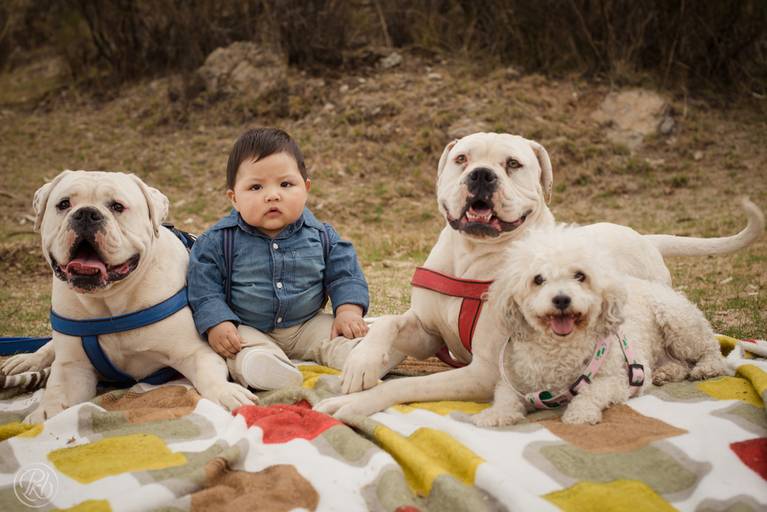 Sesion familiar niños mascotas