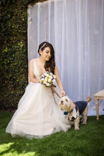 Fotografia de Bodas La Paz Bolivia novios Wedding Photography pkl fotografia fotografo de bodas