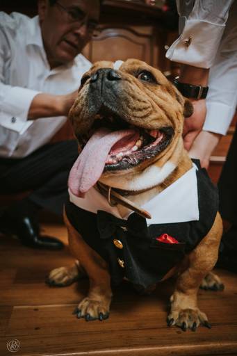 Fotografia de Bodas La Paz Bolivia novios Wedding Photography pkl fotografia fotografo de bodas