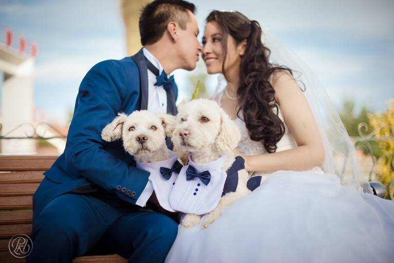 Fotografia de Bodas La Paz Bolivia boda jardin Wedding Photography 