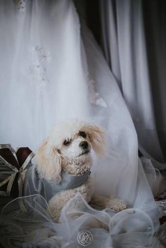 Fotografia de Bodas La Paz Bolivia detalles Wedding Photography 
