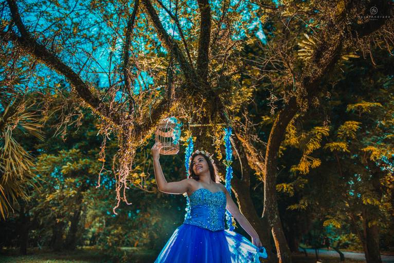 fotos de debutantes ensaio e 15 anos pela fotografa da baixada santista santos nayara andrade fotografa premiada internacionalmente com fotos originais 