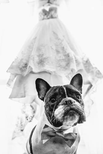 Fotografa mundialmente premiada com fotografias de casamento de impacto com arte emoçao foto de noivas e noivos diferenciado Nayara Andrade fotografia de Santos para Sao Paulo com pre wedding e destination wedding. Imagens incriveis de casamento