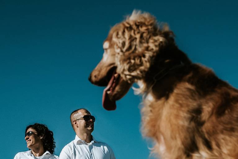 melhores fotografos de casamento portugal; fotografia de casamento; melhor fotografo casamento aveiro; sessão de solteiros; aveiro; sessão de namoro 