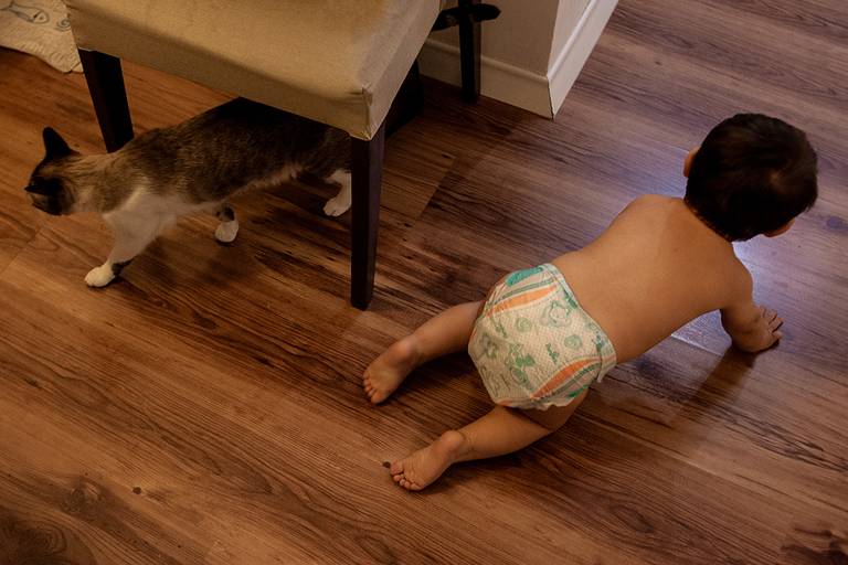 fotografia documental de família, amigos, gatinho, bebê, família, mamães, pais.