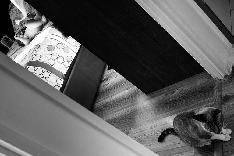 fotografia documental de família, amigos, gatinho, bebê, família, Foto de bebê, mamães, boy, filho, menino, mãe de menino, gatinho