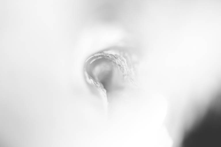 L U M I A R  - D E T A L H E S