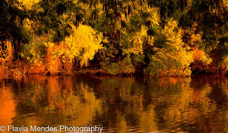 Cores de Outono. Fotografia de paisagem. Fotos em impressão qualidade museológica e quantidade limitada. Flavia Mendes Photography