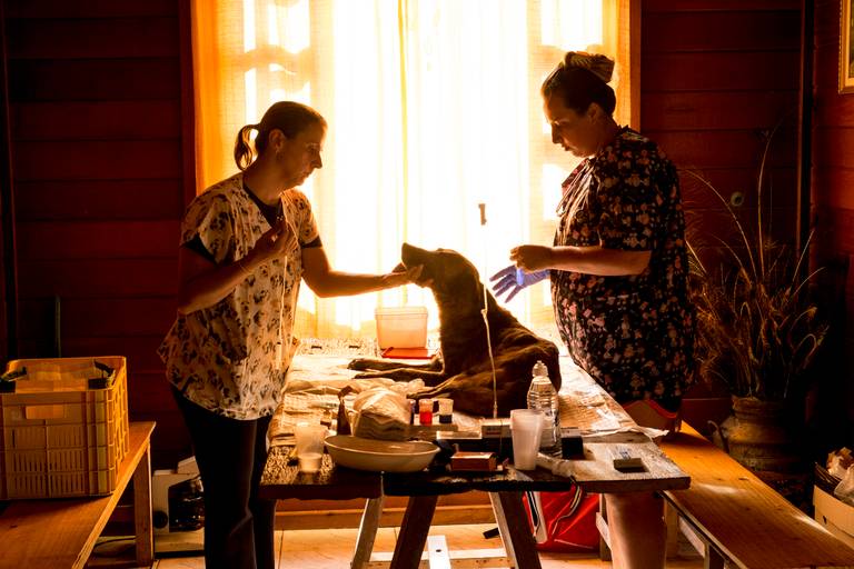 Mias fotos serão atualizadas em breve