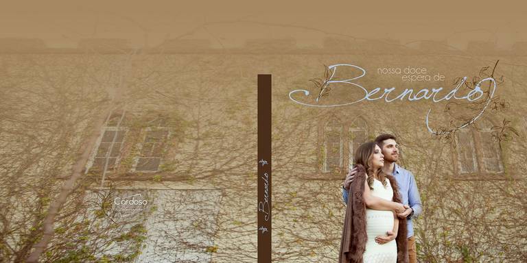 Ensaio de gestante externo vinícula