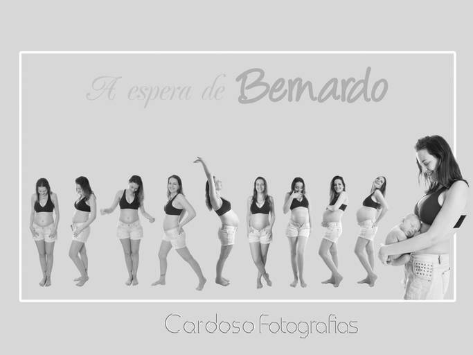 acompanhamento gestacional mes a mes