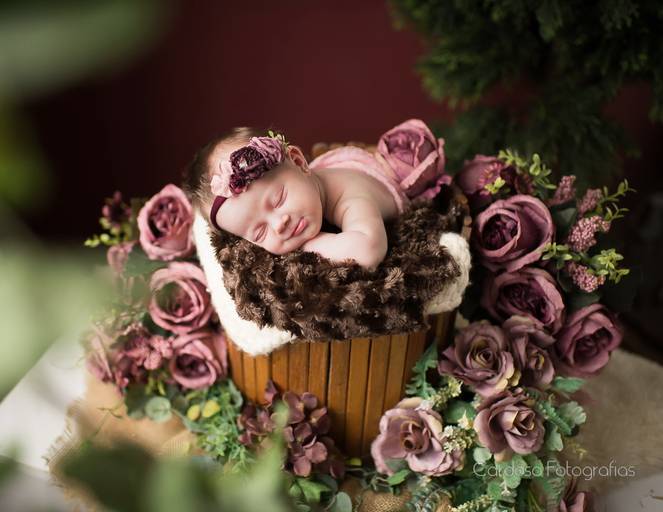 Fotógrafa de ensaio newborn estúdio fotográfico em Indaial