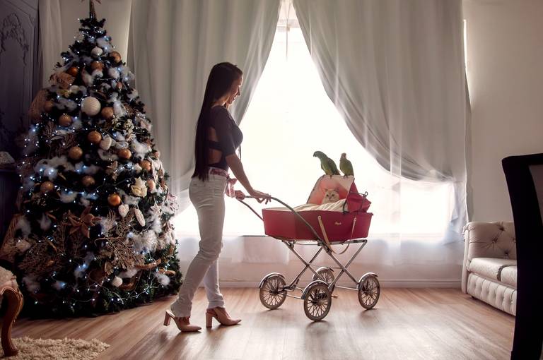 mae de pets fotografa ensaio natal