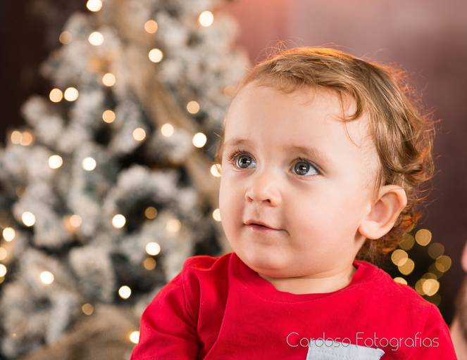 natal blumenau fotografa
