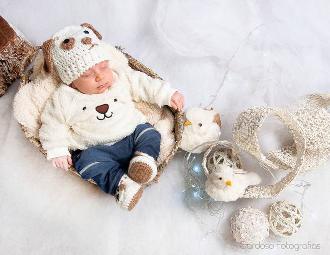 acompanhamento do bebe tematico