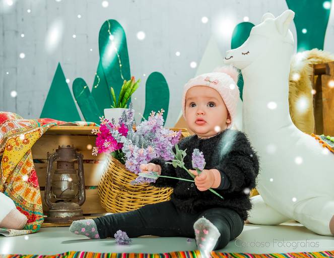 Ensaio de Inverno cenario bebe acompanhamento mensal
