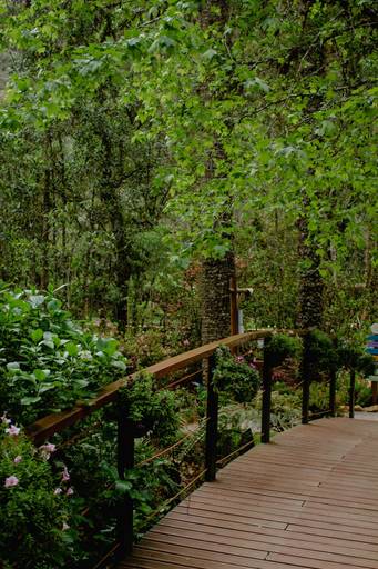 Campos do Jordão - Outubro 2022