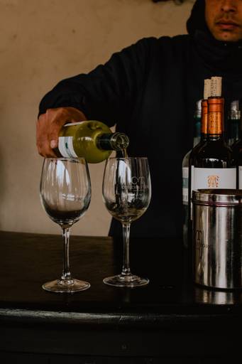 Vinícola Concha y Toro - Santiago, Chile - Agosto 2022