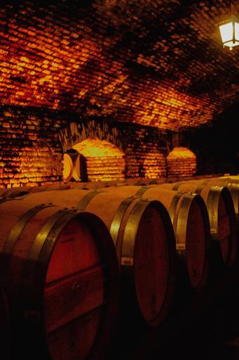 Vinícola Concha y Toro - Santiago, Chile - Agosto 2022