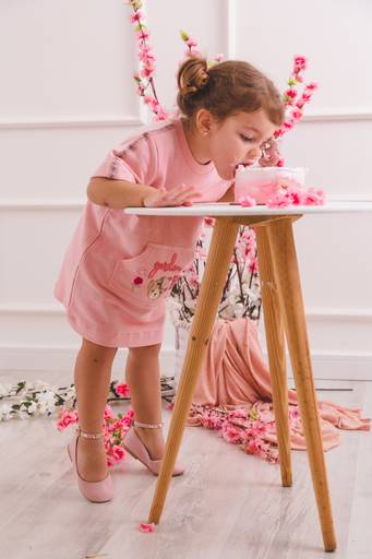 Ensaio Aniversário Infantil