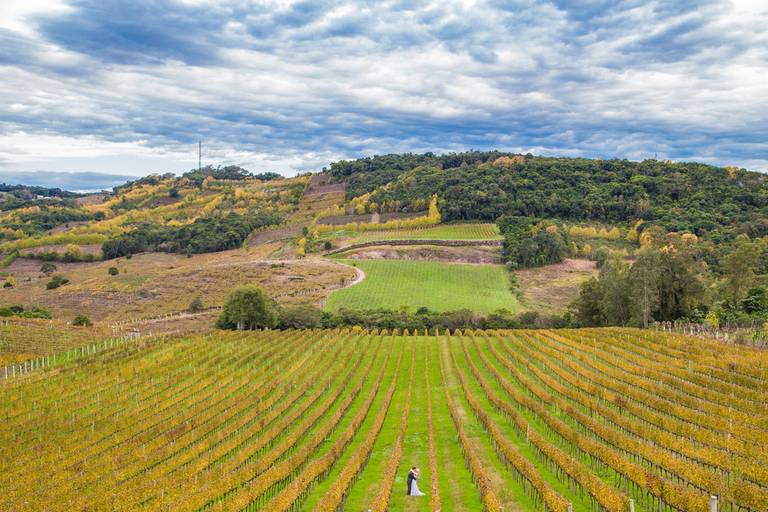 ensaio-noivos-vinicola