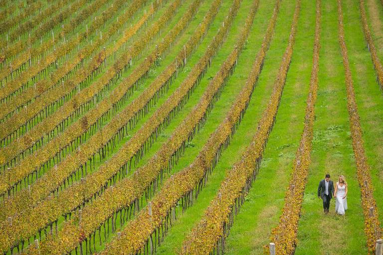 ensaio-noivos-vinicola