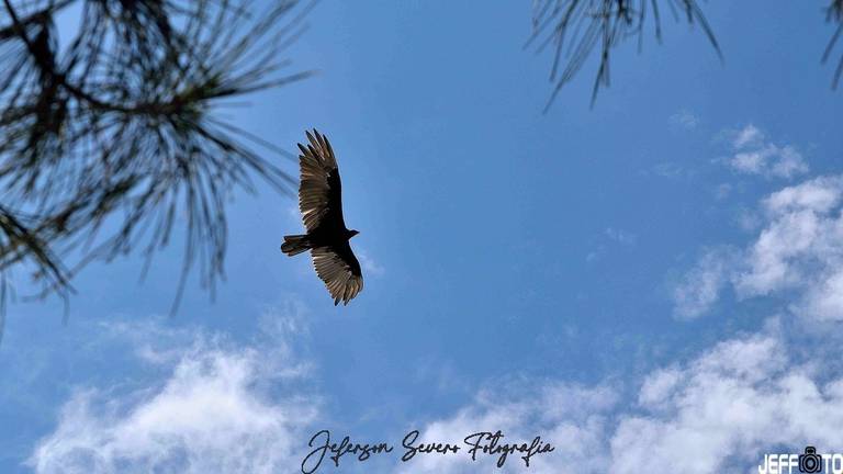 Praia do Sonho - Palhoça/SC