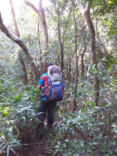 Trilha na Cascata Assis Brasil em Santa Maria - RS