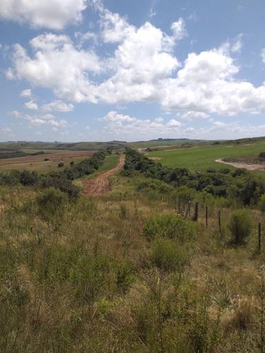 Caminho das Tropas em São Martinho da Serra - RS