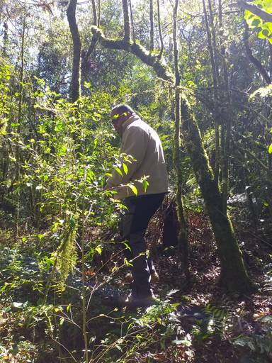 trilha exploratória na cascata do Caracol - Canela - RS