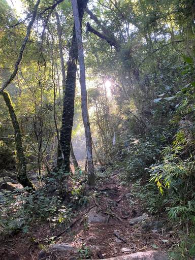 do meio do mato - Itaara - RS