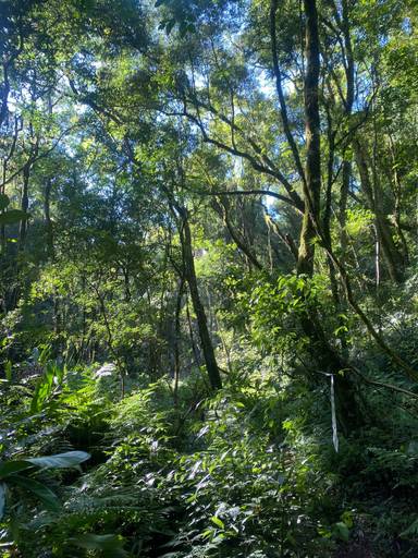 paisagens de Itaara - RS