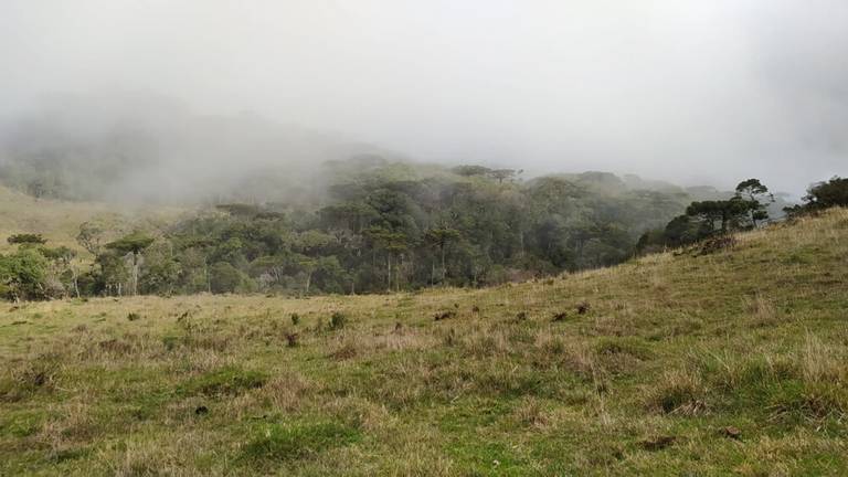 A neblina constante que nos acompanhou