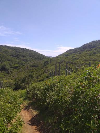Vista dos morros do Parque