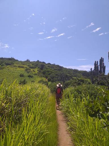 Conduzido pelos nativos