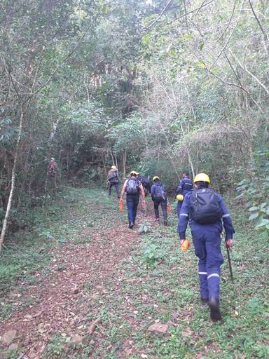 A trilha rumo aos paredões na Cascata Assis Brasil em Santa Maria - RS