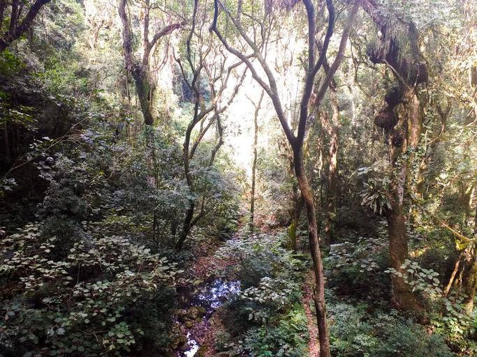 Vista de cima da Cascata do Sapo