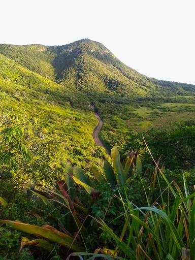 Os caminhos das Emerências