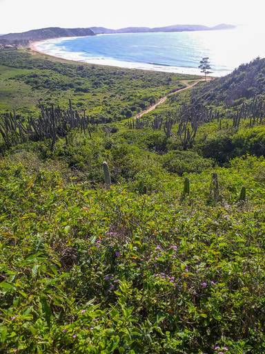 Estrada das Emerências