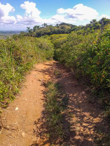 Estrada que vem de José Fernandes