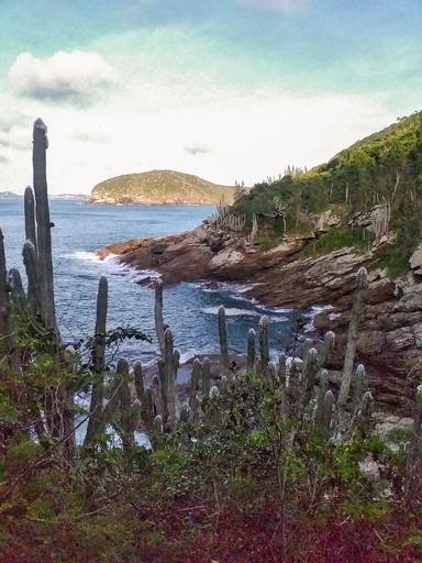Combinação do Mar, das rochas e dos Cactos..