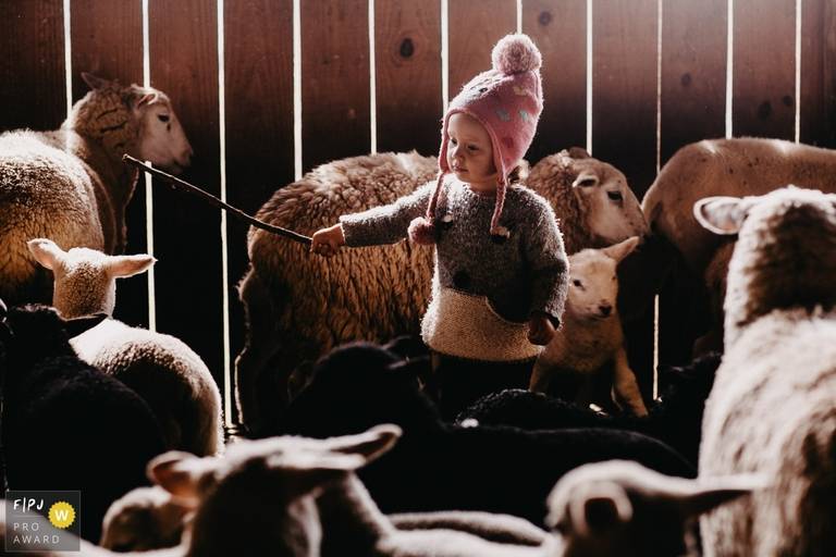 Fotógrafo de Família Florianópolis Joni Pereira 