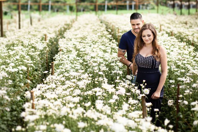 campo-de-flores-para-ensaio-pre-casamento-em-holambra-sp