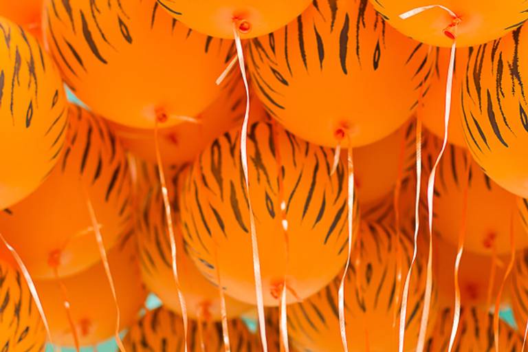 Balões-de-tigre-ou-tigrados-foto-tirada-por-thais-mazzoco-em-campinas