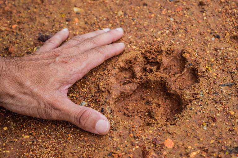 Cicloturismo no Pantanal Sul - Henrique Drobnievski