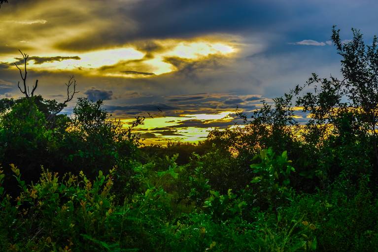 Cicloturismo no Pantanal Sul - Henrique Drobnievski