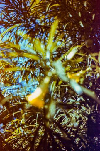 Sete de Setembro - Photovski Fotografia