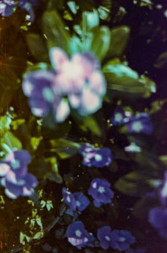 Centenário - Photovski Fotografia